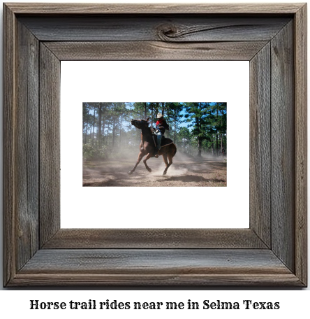 horse trail rides near me in Selma, Texas